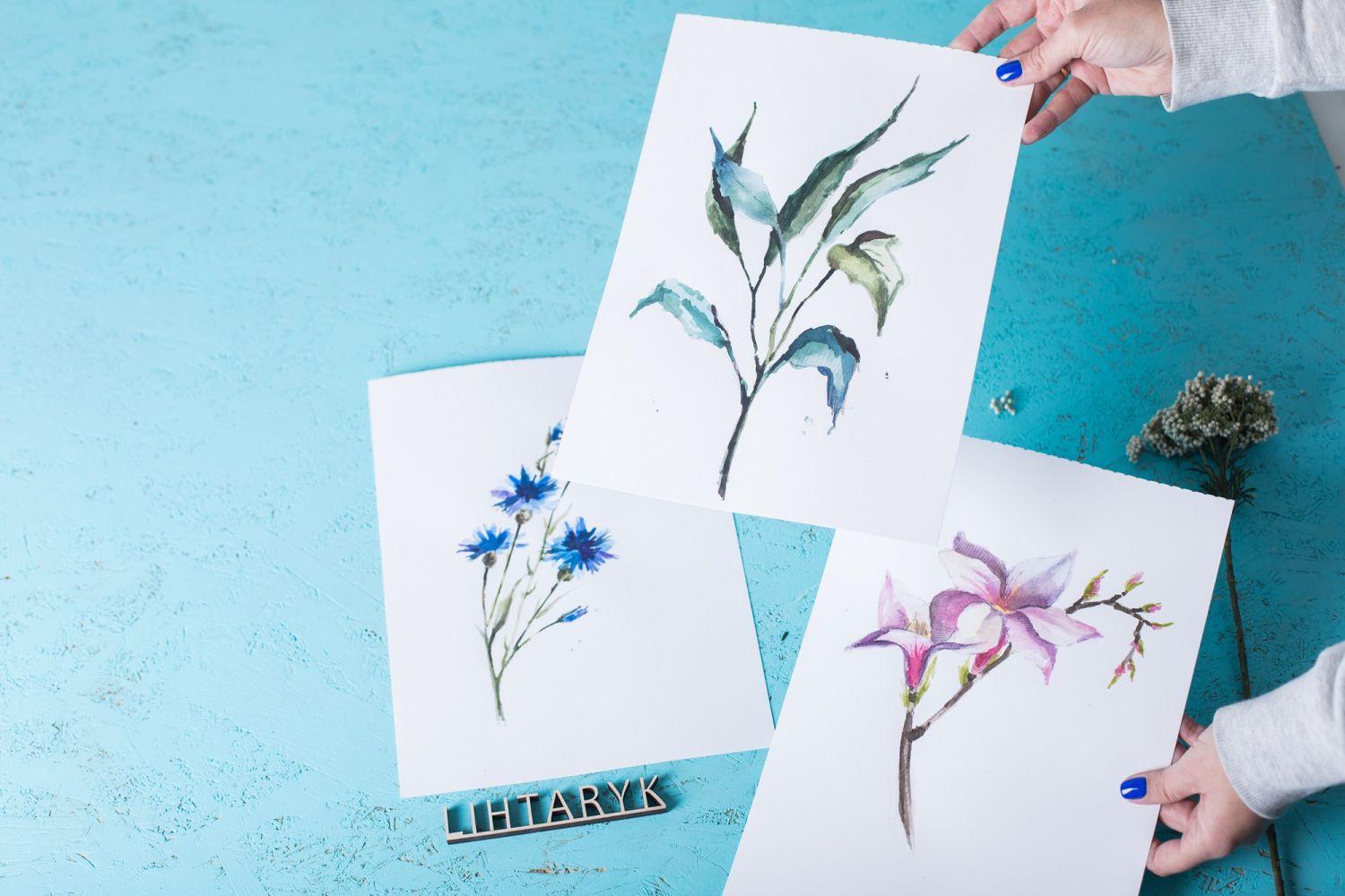 Botanical illustration