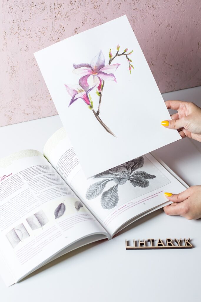 Botanical illustration