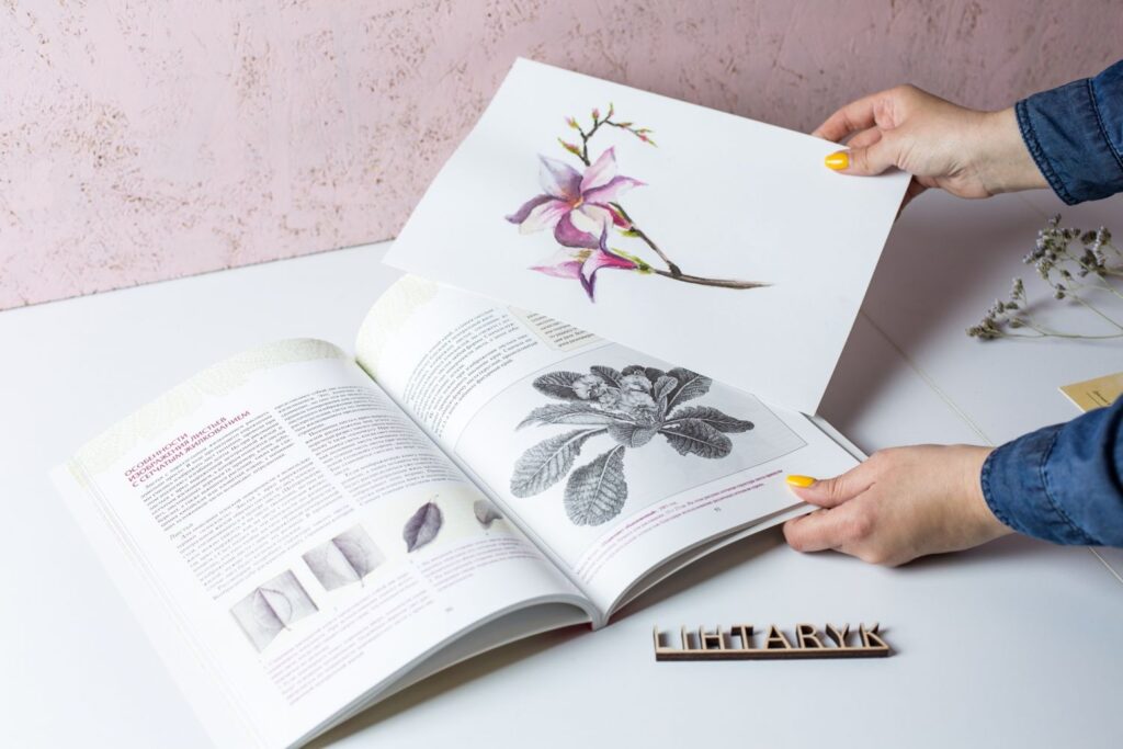 Botanical illustration